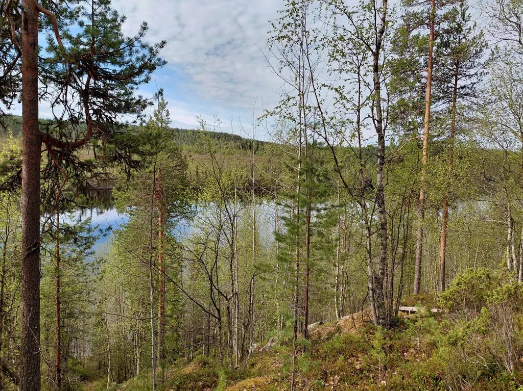 Jardin - Cottage with Lake View in Kuusamo