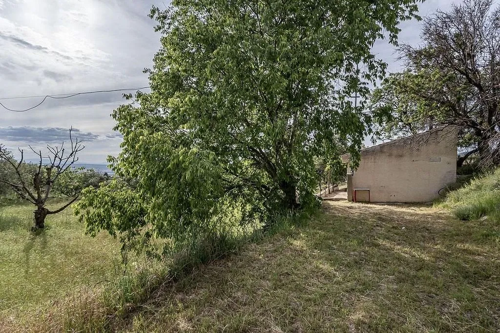 Garden - Rustic Farmhouse with Olive Grove in Monachil