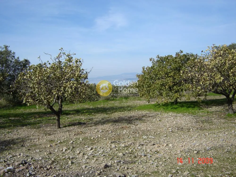 Giardino - Plot with Sea View in Agia Marina, Agia Napa