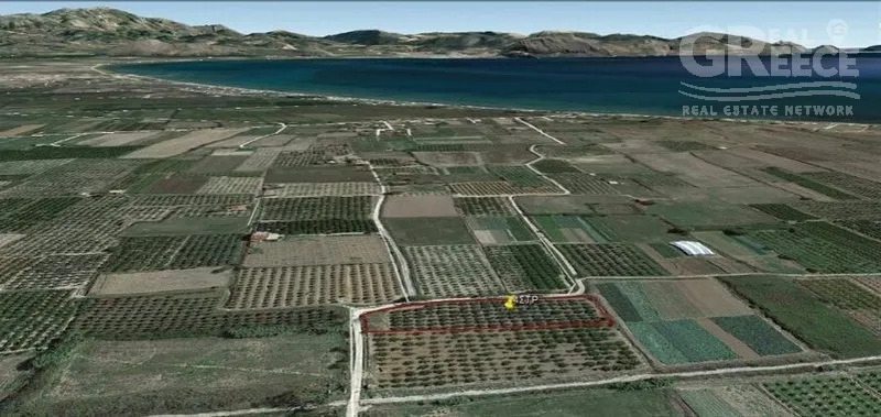 Õhuvaade - 4-Acre Olive Grove in Skaftidaki, Argos