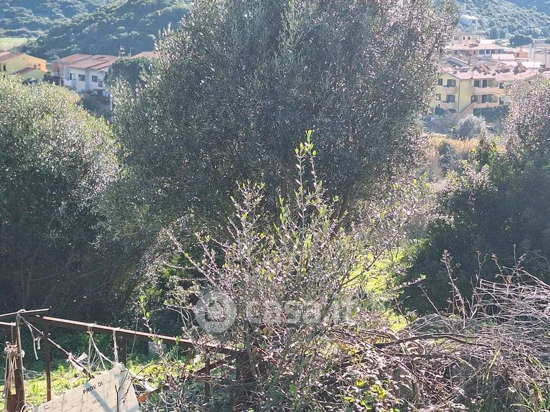 Aed - Historic Villa with Garden in Terridi, Bosa