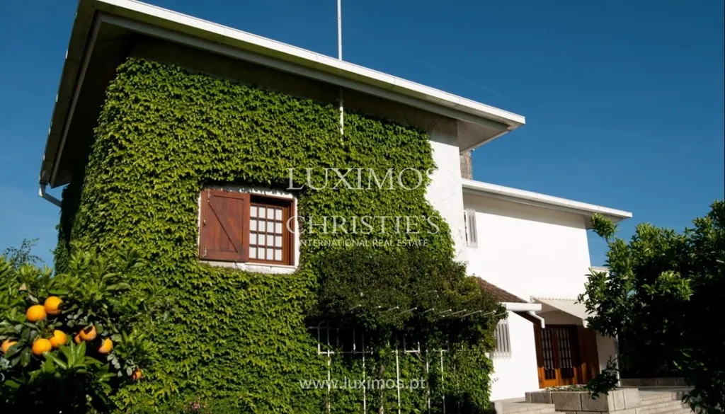 Extérieur - Four-Fronted House with Garden in Ermesinde