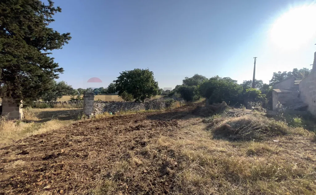 Jardin - Terrain à IT