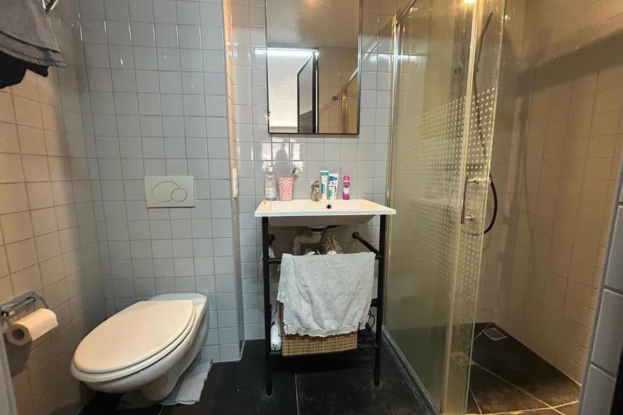 Vannitoad - 1-Bedroom Apartment in Leuven