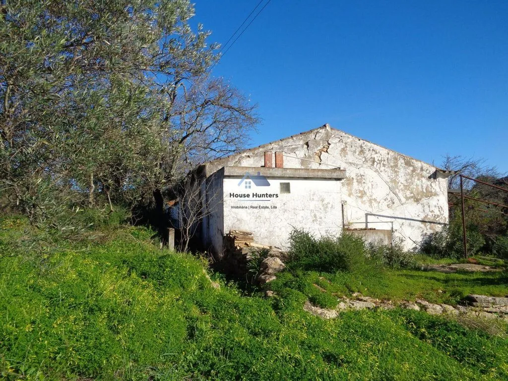 Extérieur - Luxury House with Garden in Loulé