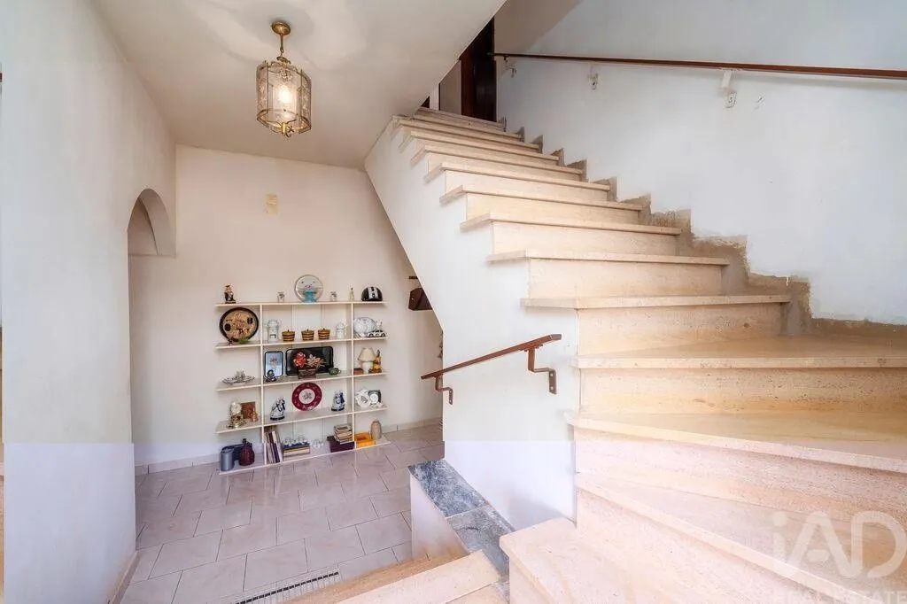 Toad - Luxury House with Tourism Potential in Alte