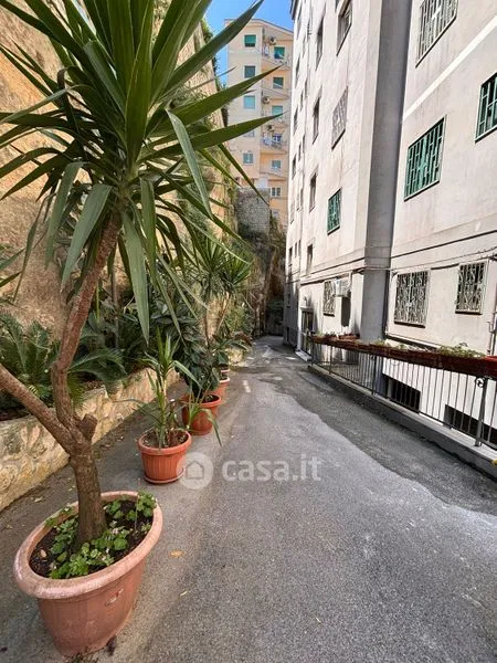Jardin - Apartment with Panoramic Balcony in Naples