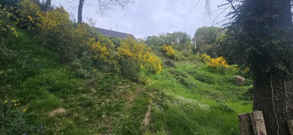 Jardin - Maison de Plain-Pied avec Terrain Boisé à Callac