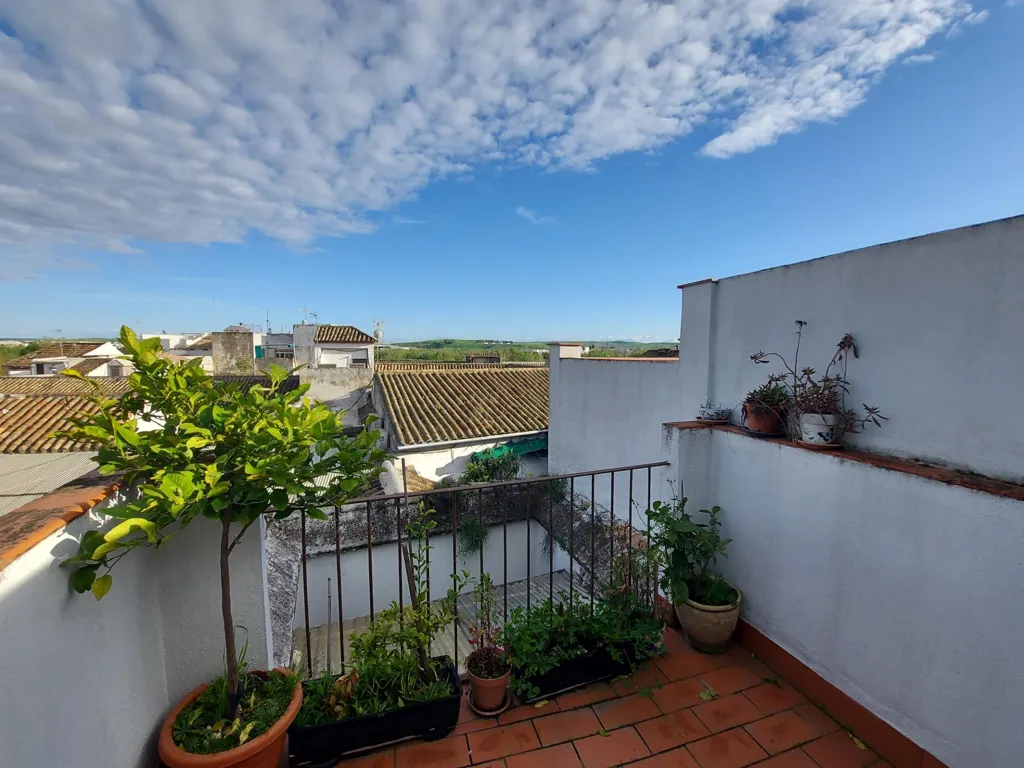 Terrass - Charmful Chalet with Terrace in San Basilio