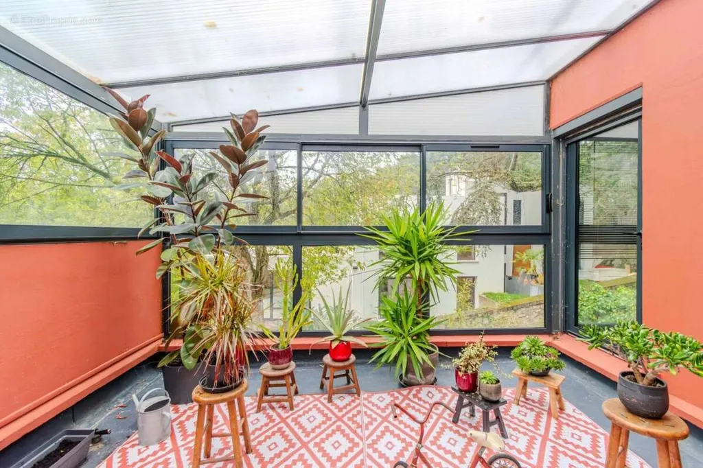 terrace_patio