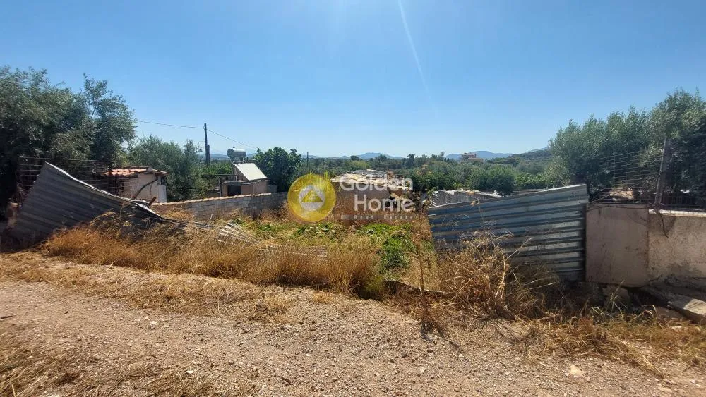 Aed - Warehouse with Storage in Koropi - Karelles