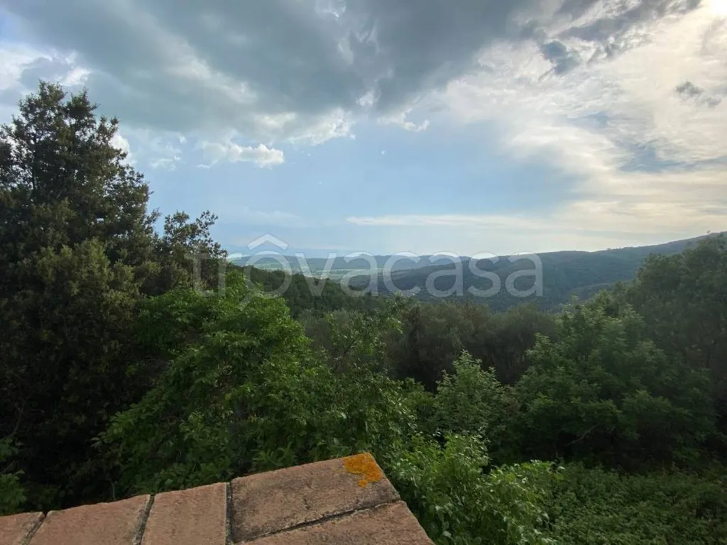 terrace_patio