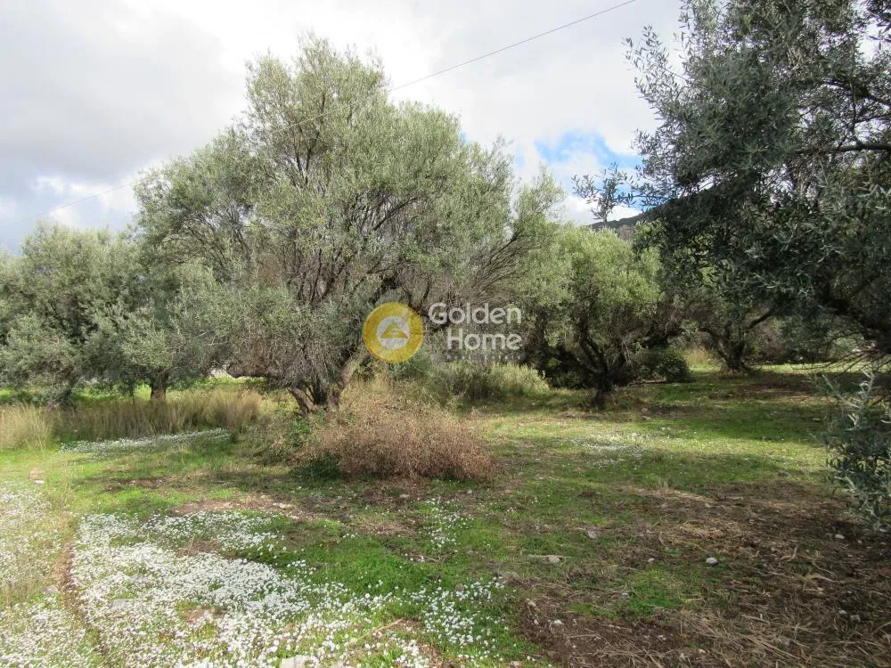 Jardin - Plot with Panoramic View in Patras-Karyes