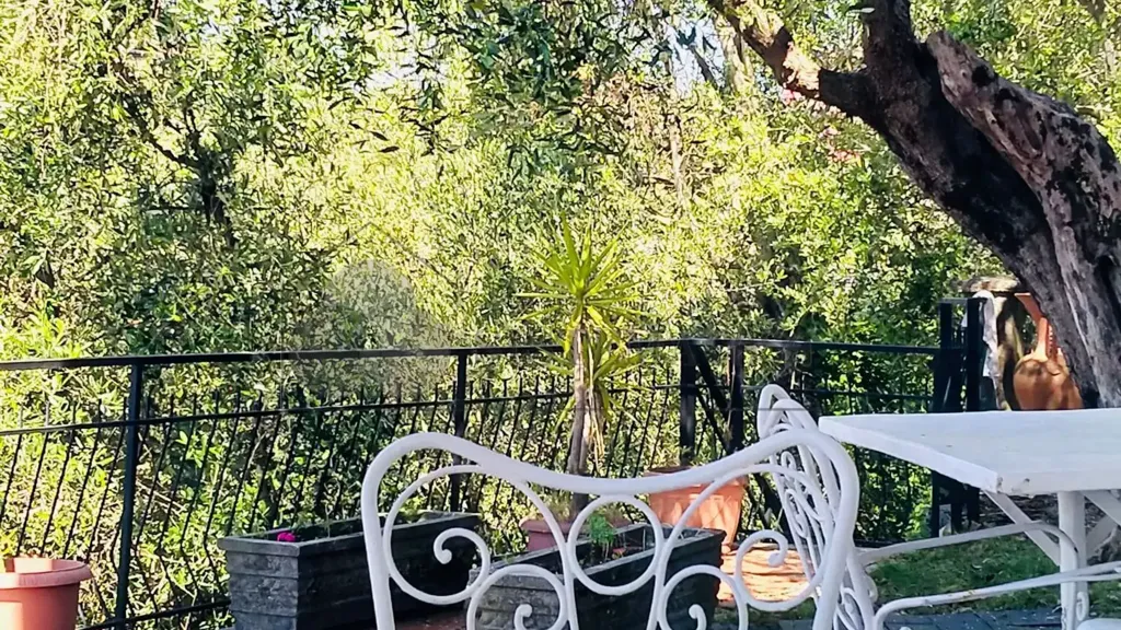 Terrass - Villa with Sea View in Vezzano Ligure