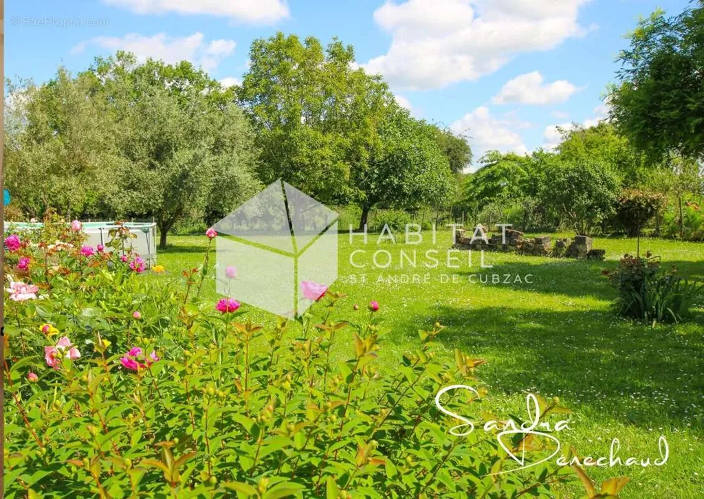 Jardin - Maison en Pierres avec Jardin à Bourg