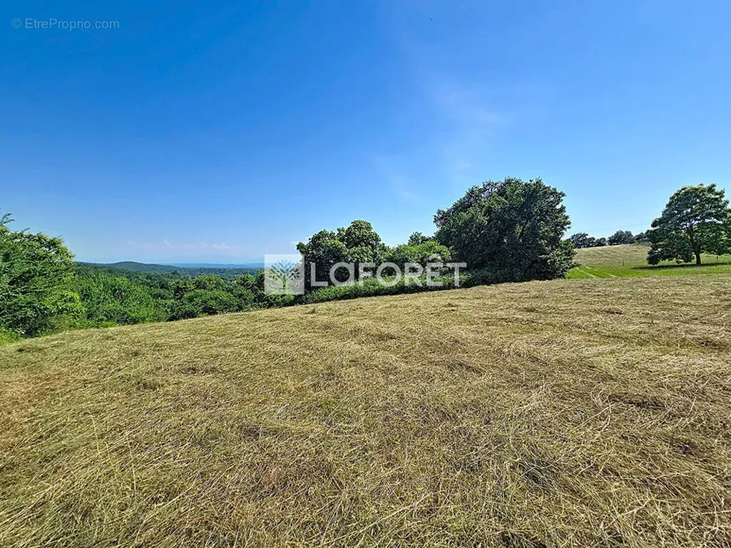 Jardin - Terrain à bâtir avec vue sur les Pyrénées à Arthez-de-Béarn