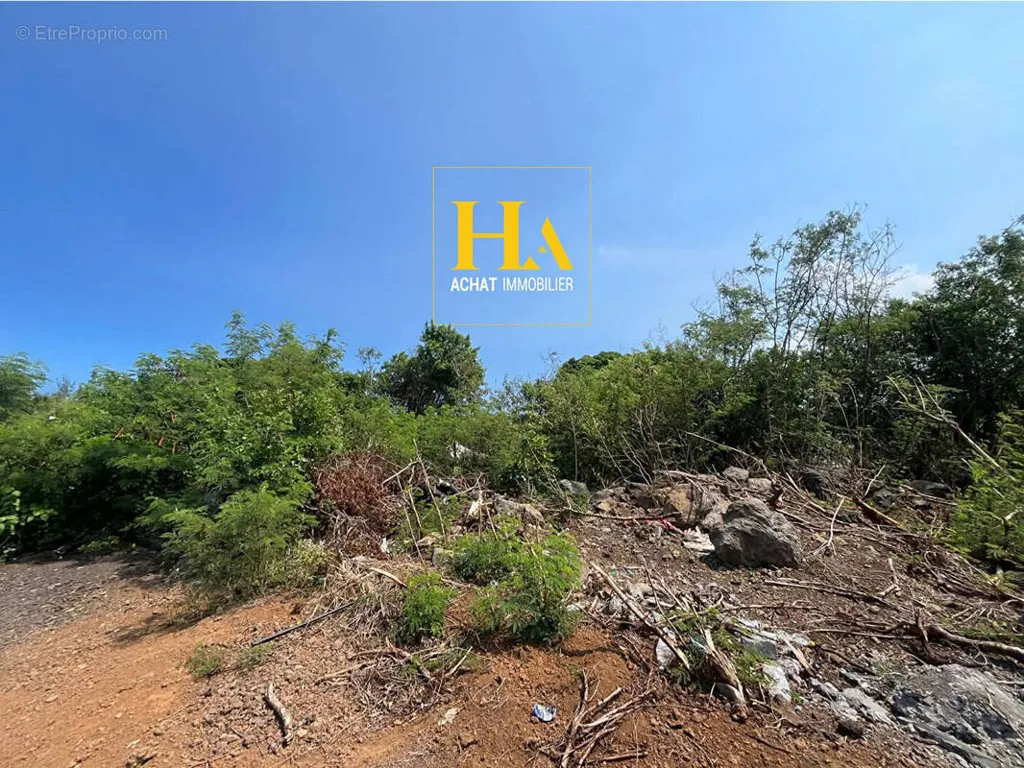 Garden - Plot with Sea View in Saint Pierre