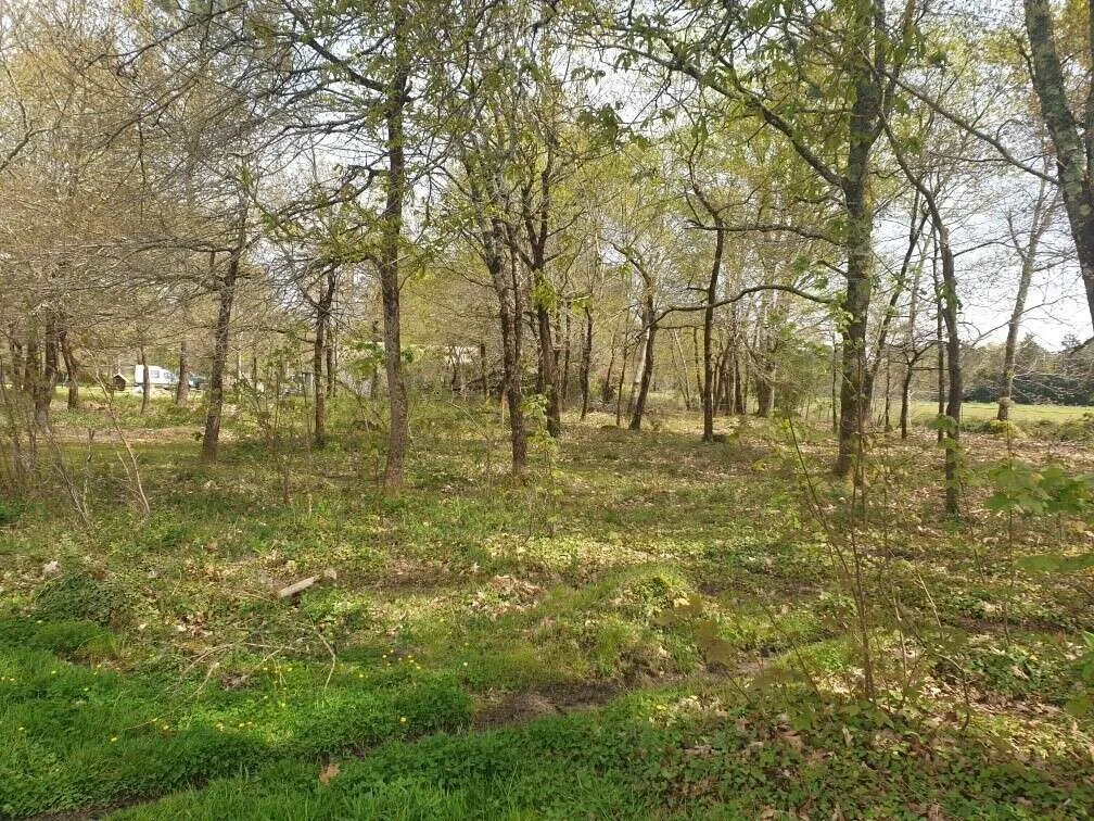 Terrain à Pissos