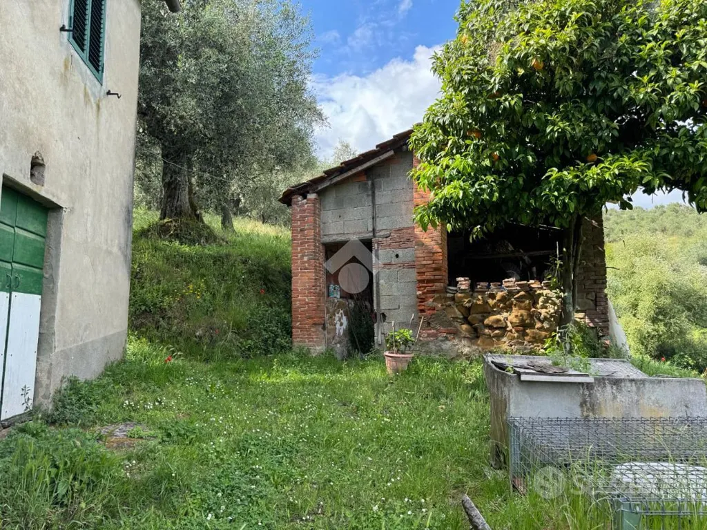 Aed - Rustic House with Olive Grove in Buggiano