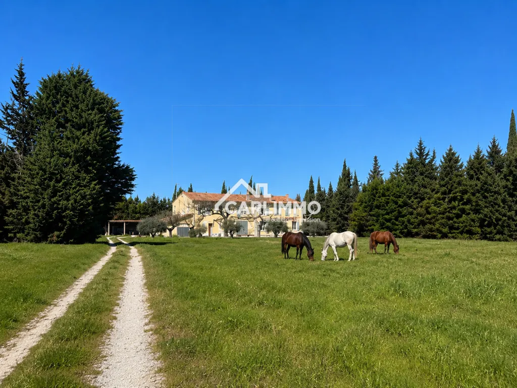 Garden - 19th Century Bastide in Saint-Rémy-de-Provence