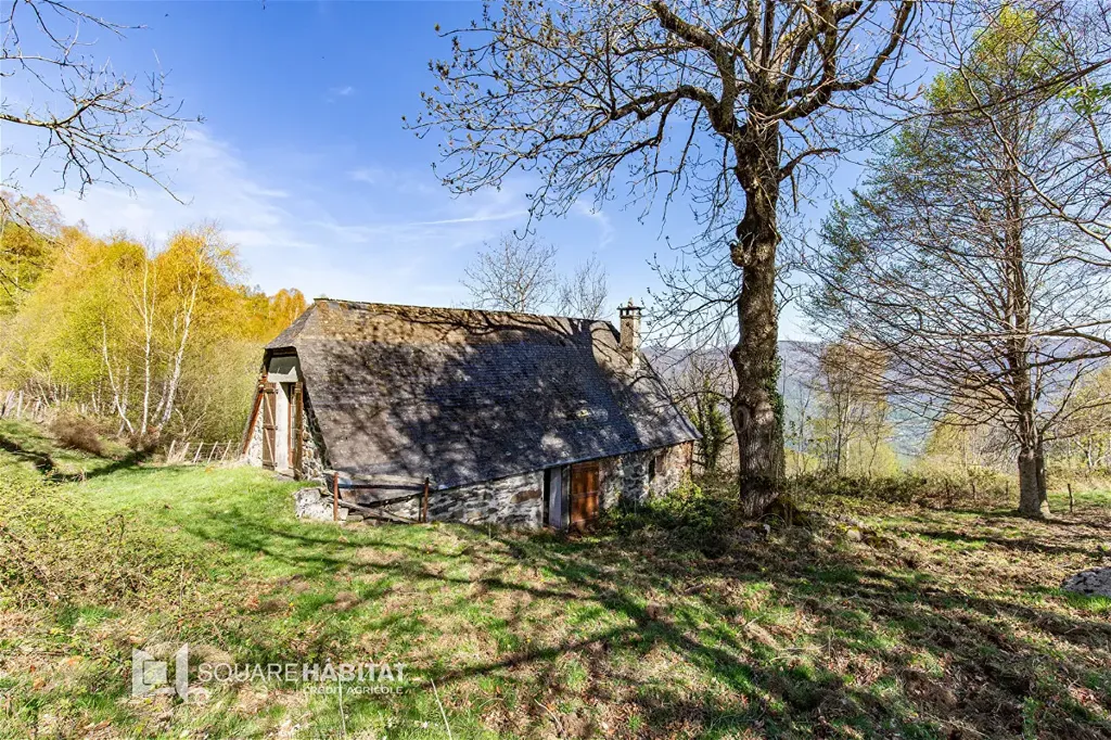 Aed - Converted Barn with Panoramic Views in Argeles-Gazost