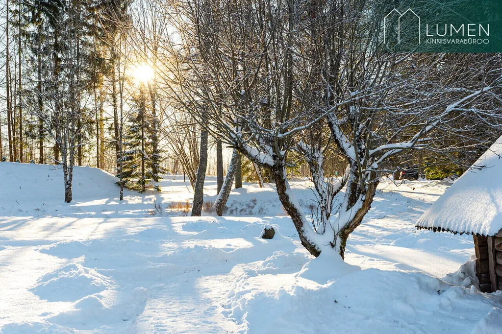 Aed - Unique Holiday Centre with Accommodation in Otepää
