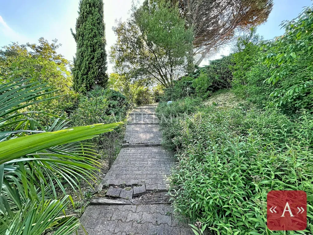 Aed - Architectural House with Panoramic Park View