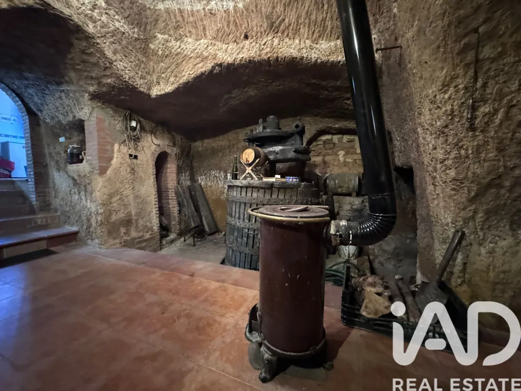 Pièces - Authentic Bodega in Villagallegos, Valdevimbre