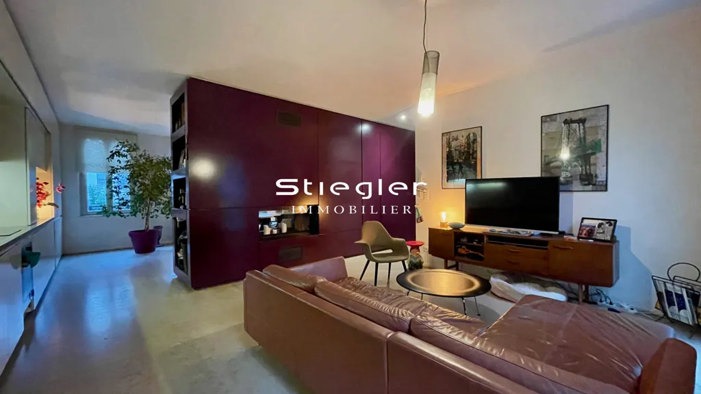 Living Room - Character House with Garden in Strasbourg