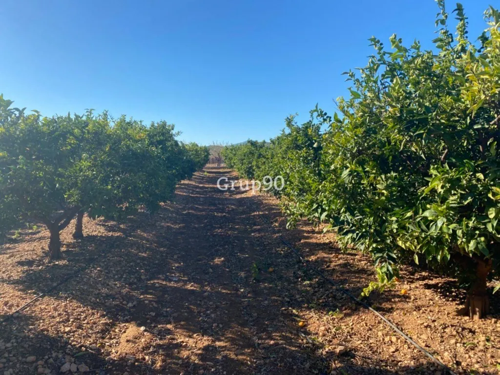 Jardin - Pig Farm with Cultivation in Cabanes