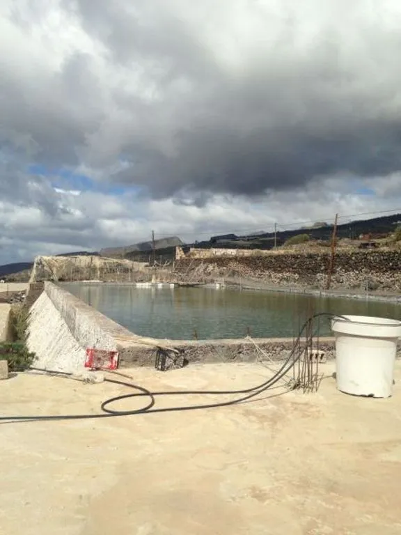 Pool - Land with Greenhouse in Guía de Isora