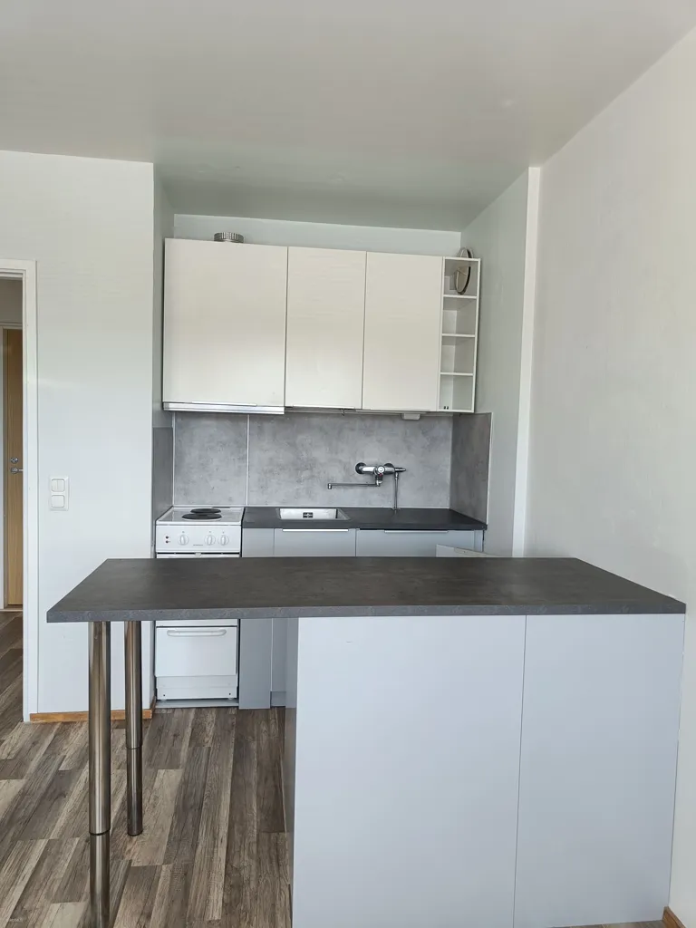 Cuisine - Apartment with Garden in Hyvinkää Centre