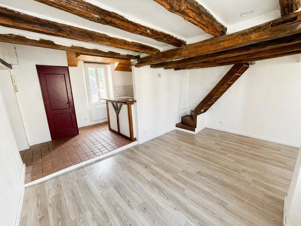 Toad - Atypical Duplex Apartment in Fontainebleau