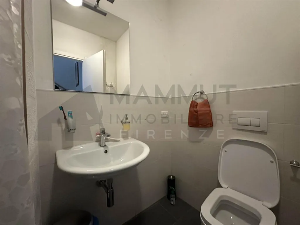 Vannitoad - Apartment with Terrace in Central Florence