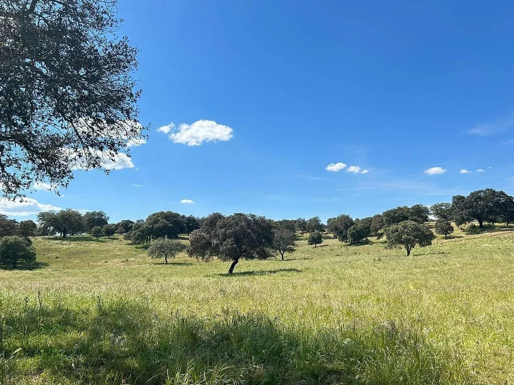 Aed - Rustic Cortijo with Pool in Alanís
