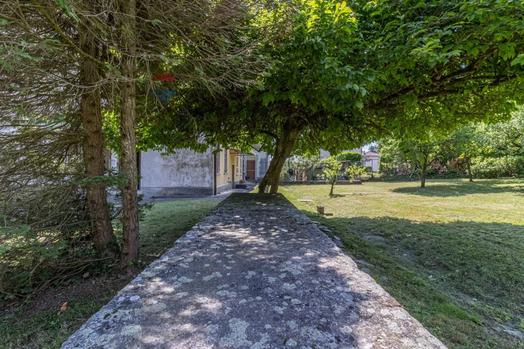 Garden - Villa with Garden near Municipio