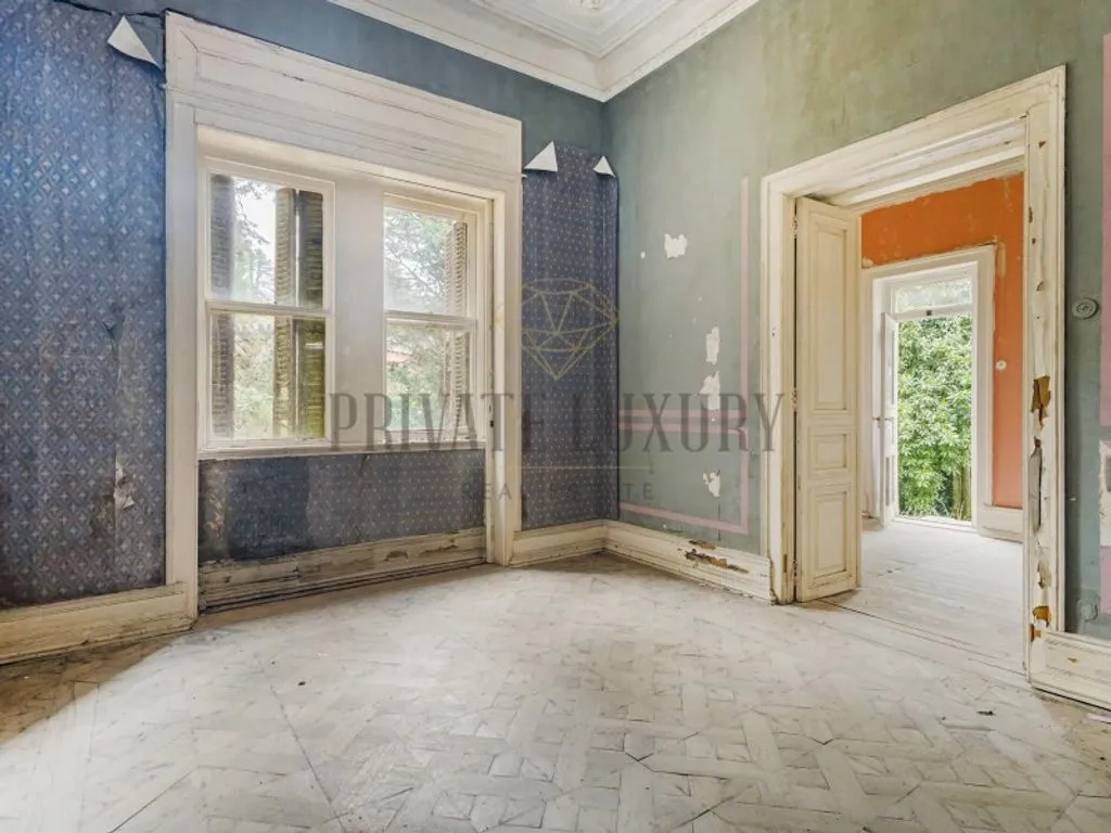 Toad - Historic Quinta with 100 Hectares in Sintra