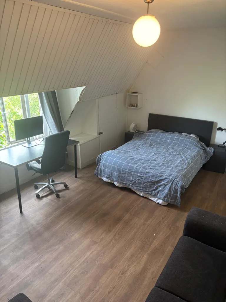 Chambres - Student House with Shared Amenities near Rotterdam