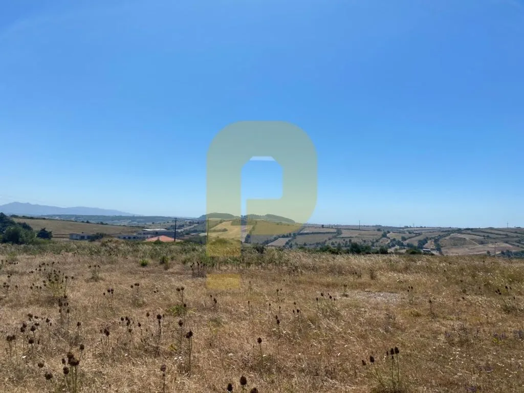 Giardino - Urbanizable Land for Development in Mafra