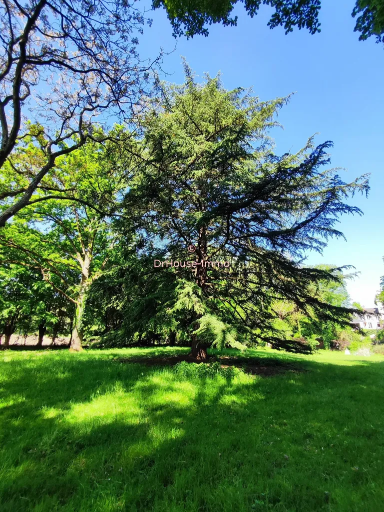 Jardin - Maison de Maître avec Piscine à Chaingy