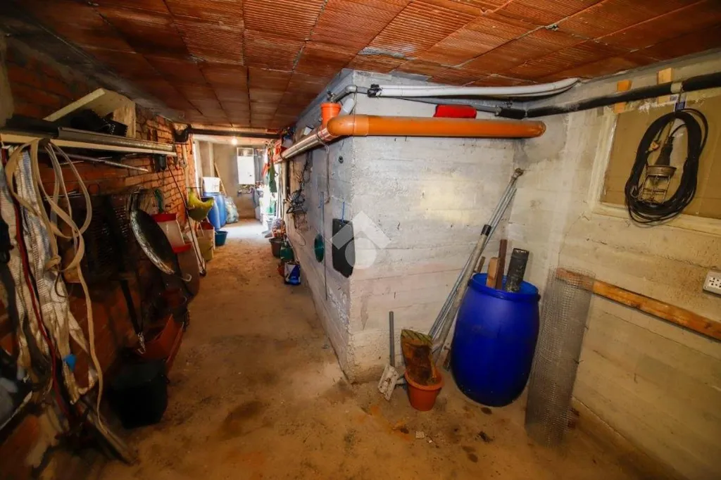 cellar
