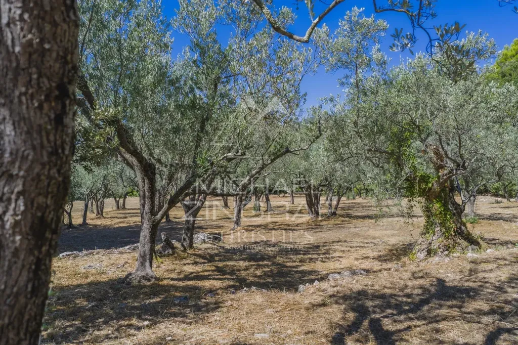 Aed - 11-Piece Villa with Equestrian Potential in Callas