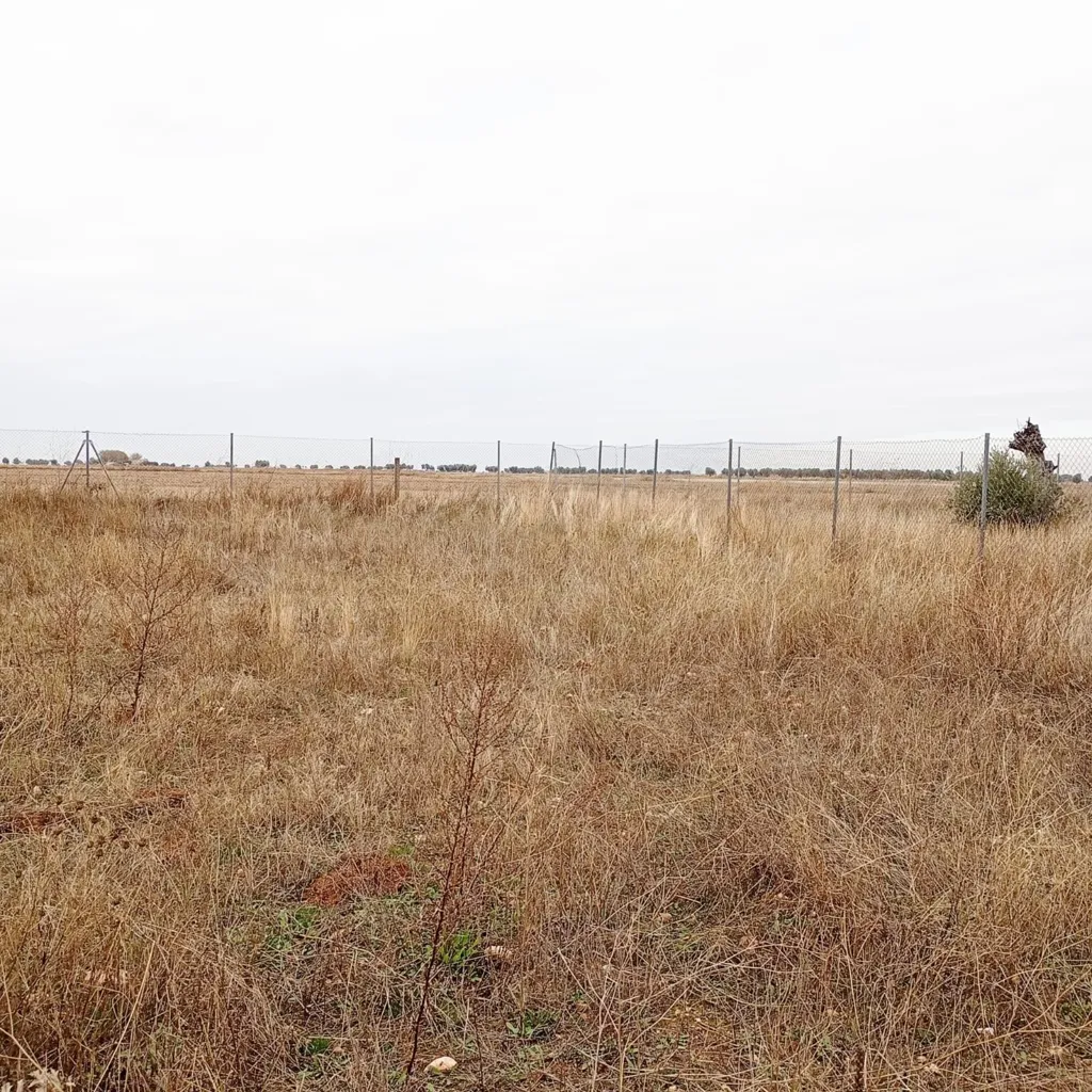 Jardin - Rustic Plot in Tranquil Yepes, Toledo