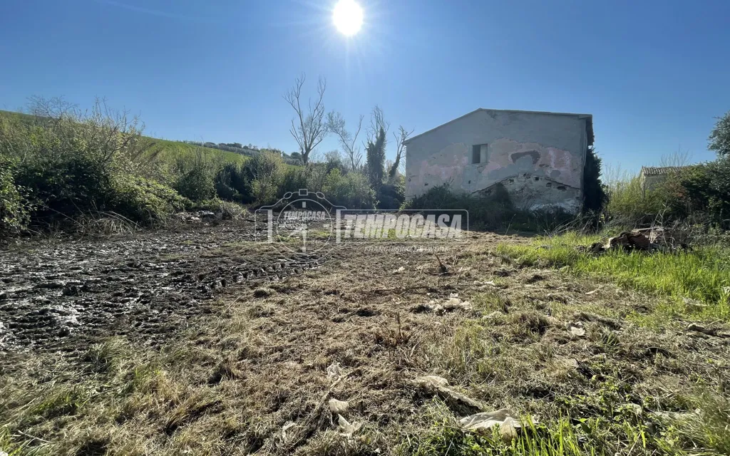 Jardin - Rustic Casale with Private Garden in Ostra