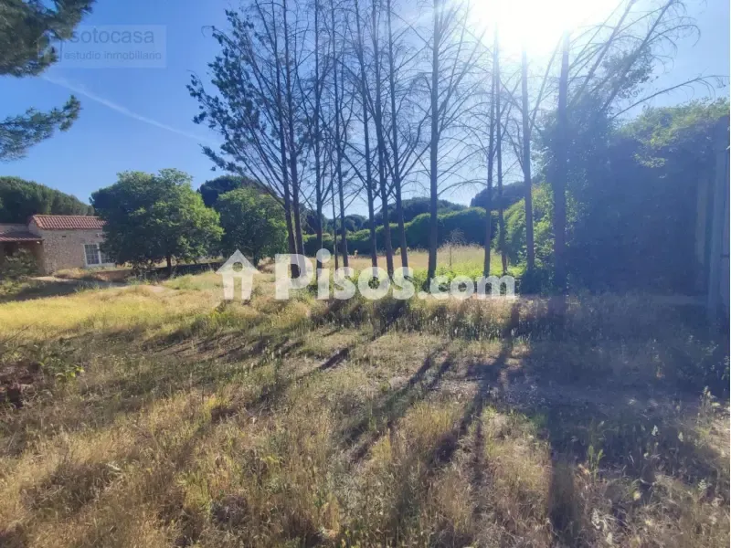 Giardino - Chalet with Pool in Traspinedo