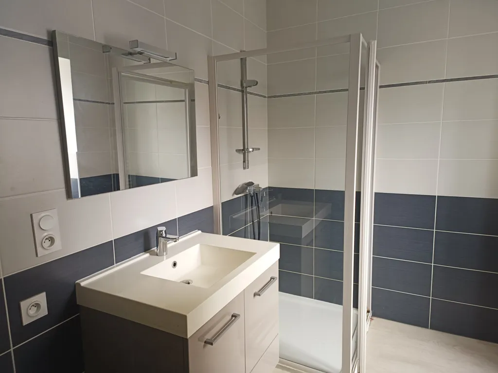 Salles de bain - Appartement Rénové à Jarcieu avec Grenier Aménageable