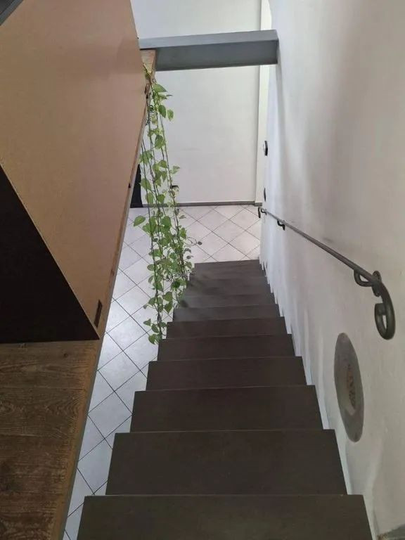 Toad - Luxury Apartment with Historic Features in Florence