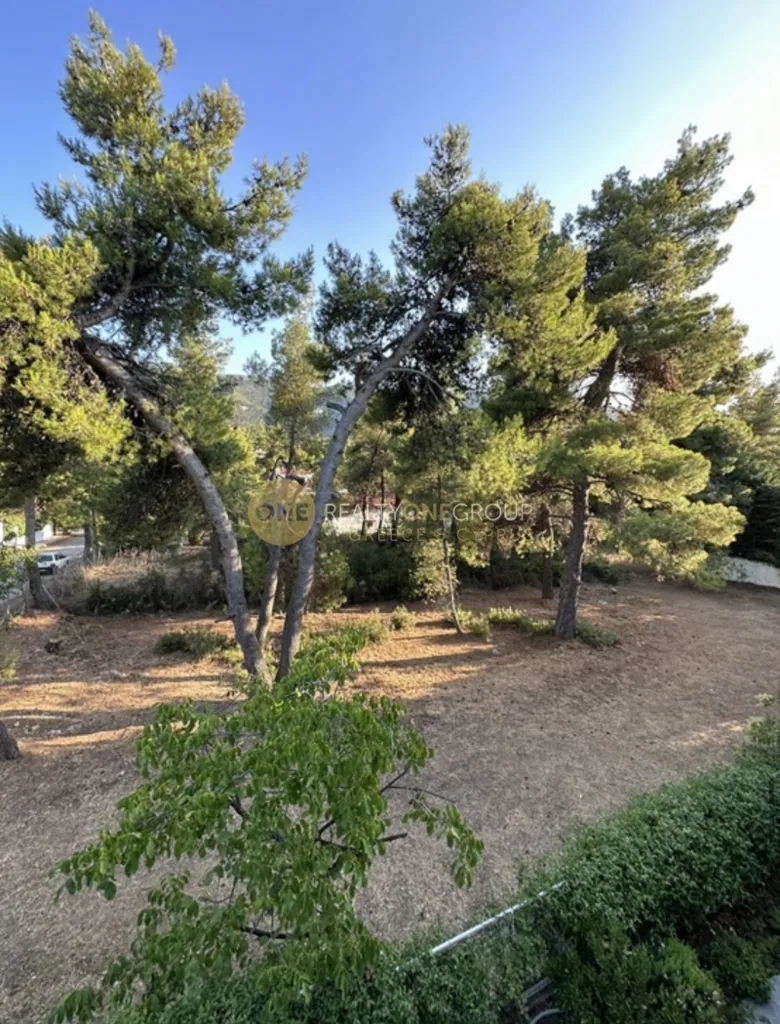 Jardin - Modernised Mezzanine in Dionysos Centre