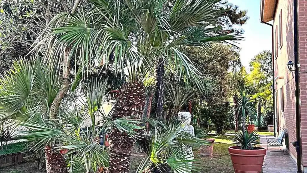 Aed - Villa with Private Garden in Conselice