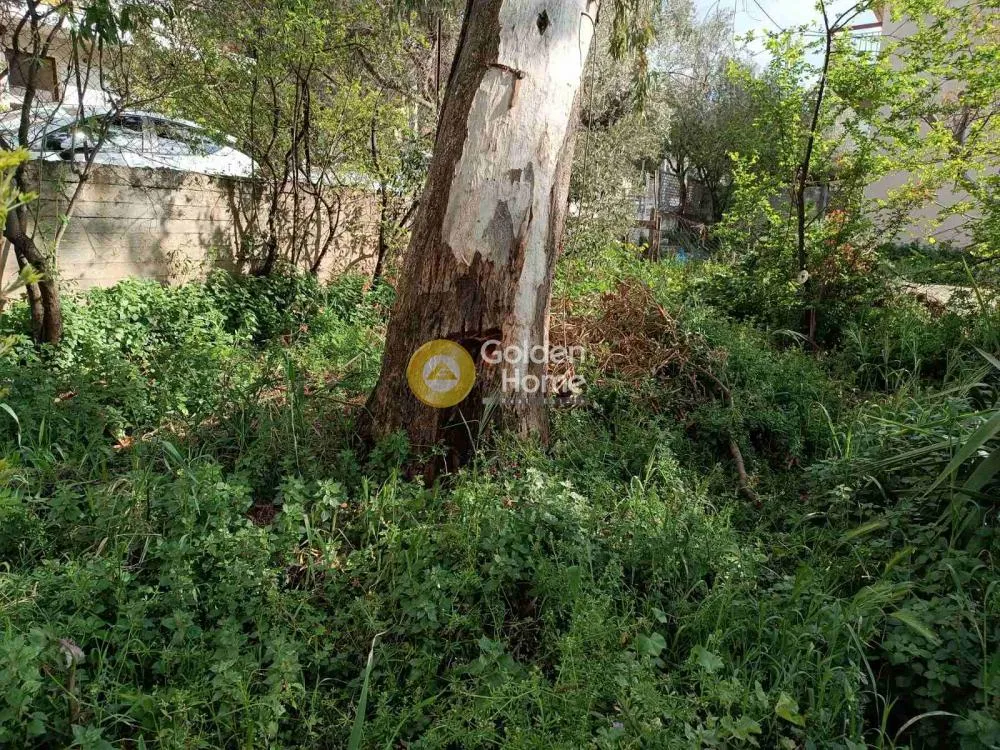 Aed - Plot with Forest View in Melissia